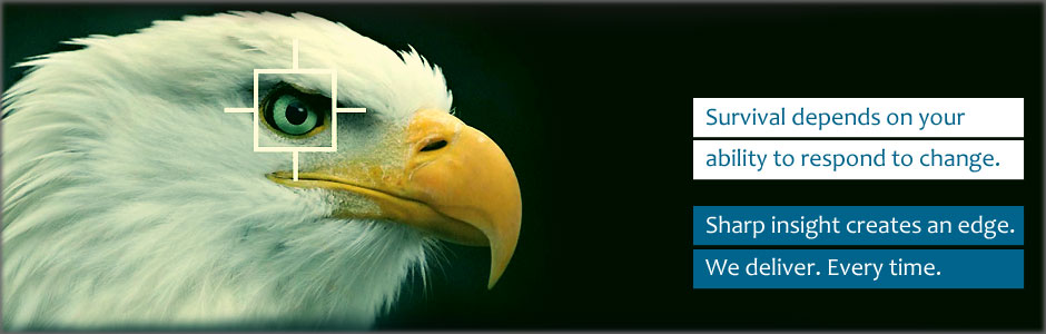 eagle_insight_splash